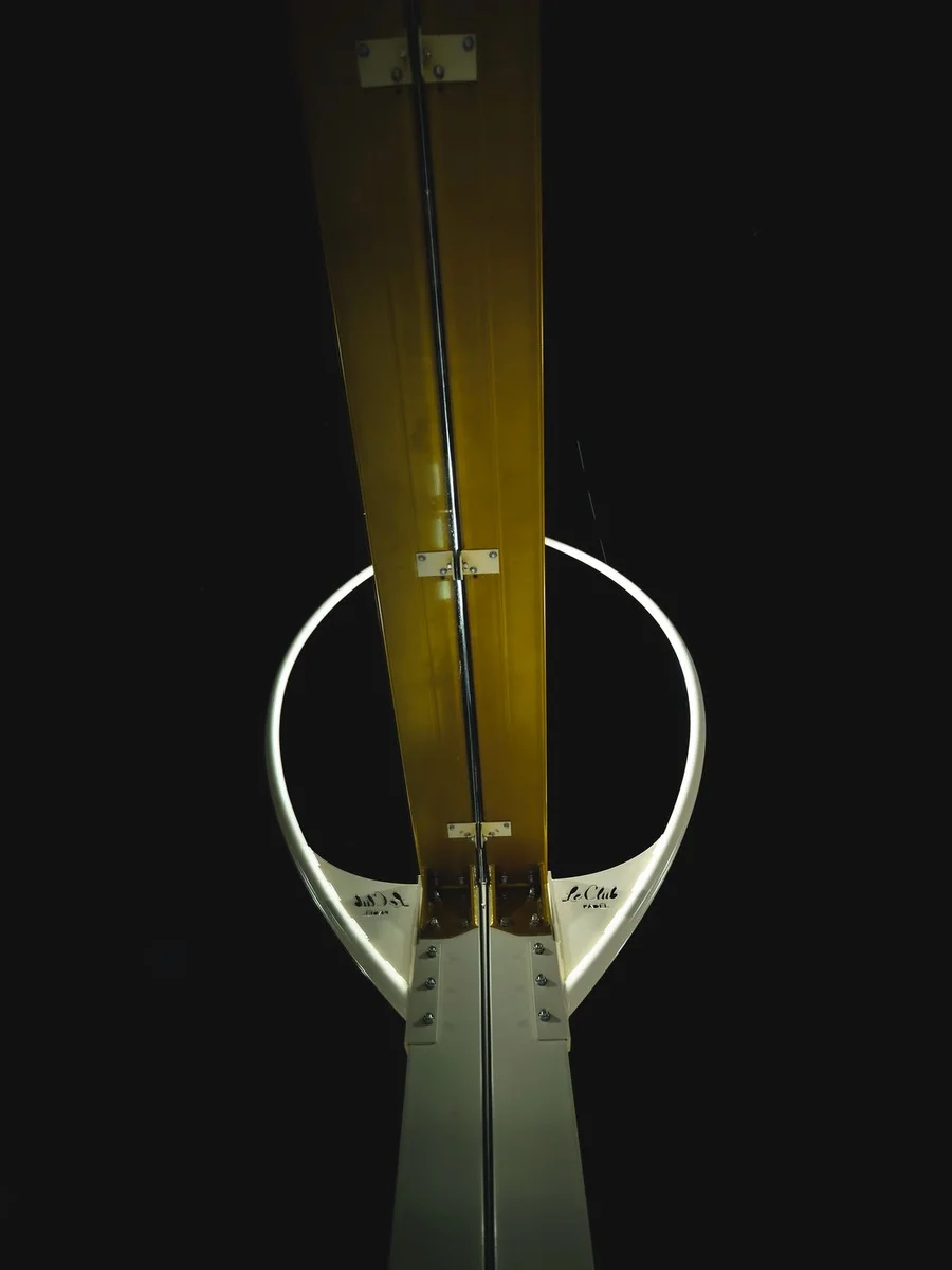 Iluminación profesional, tipo cuello de cisne